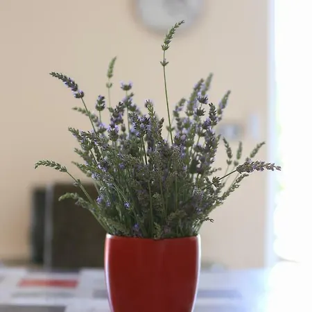 Lägenhet K&m Novi Vinodolski