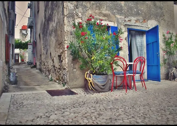 K&m * 诺维·维诺多尔斯基