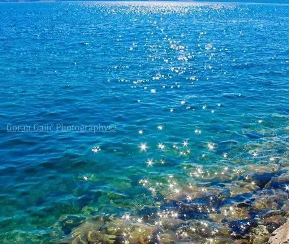 K&m * 诺维·维诺多尔斯基