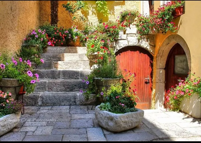 K&m * 诺维·维诺多尔斯基