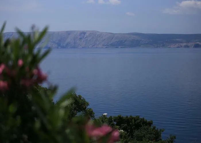 公寓 K&m 诺维·维诺多尔斯基